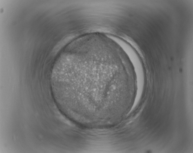 X0000060770577200512082036