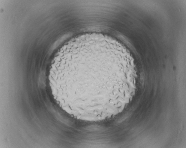 X0000060770578200512082036