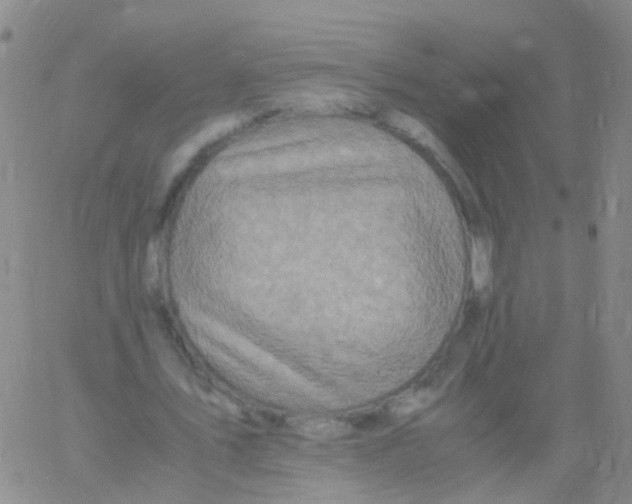 X0000060770579200512082036