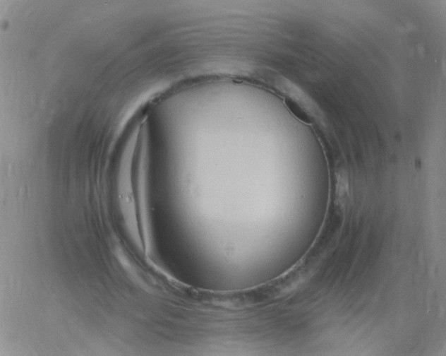 X0000060770580200512082036