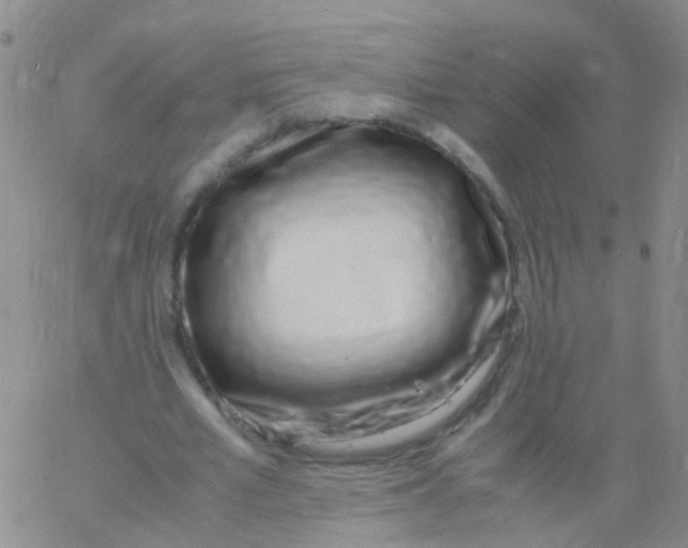 X0000060770581200512082036