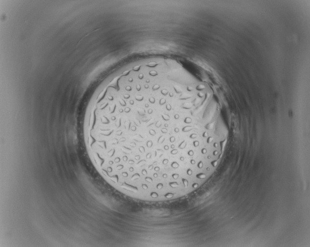 X0000060770582200512082036