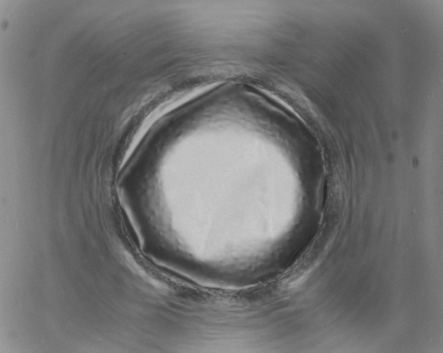 X0000060770585200512082035