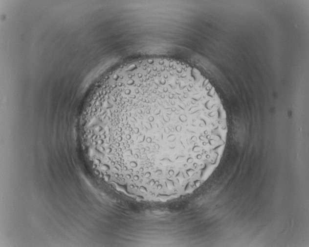 X0000060770586200512082035