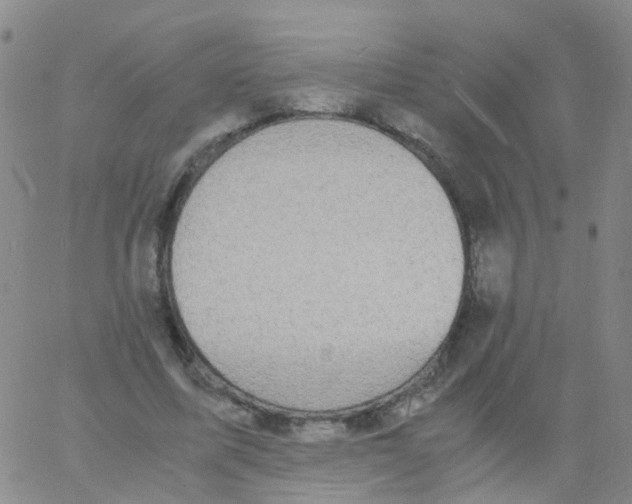 X0000060770587200512082035