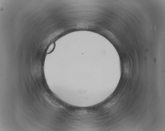 X0000060770588200512082035