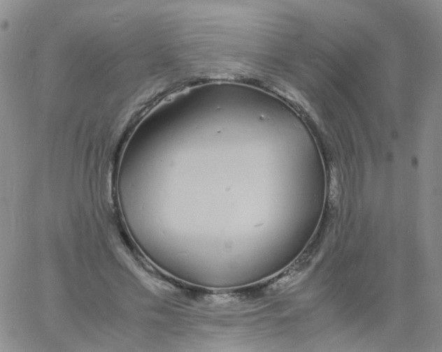 X0000060770589200512082035