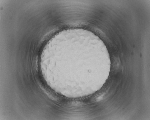 X0000060770590200512082035