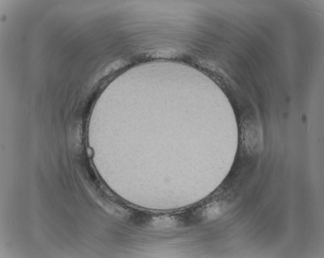 X0000060770591200512082035