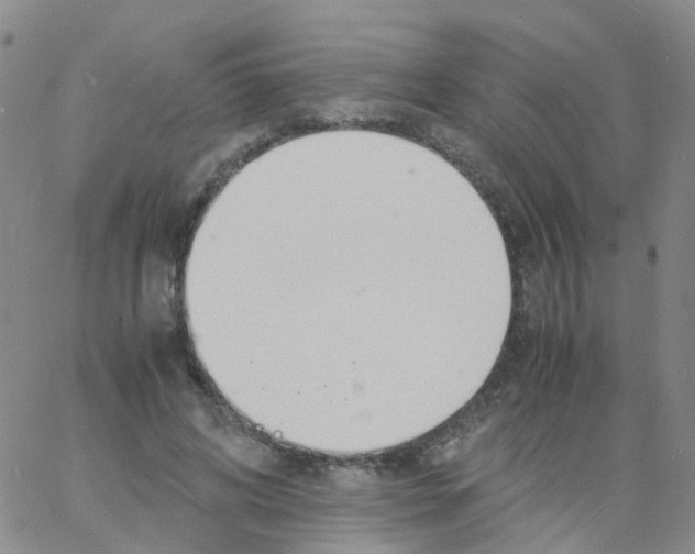 X0000060770592200512082035