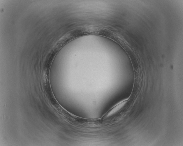 X0000060770597200512082035