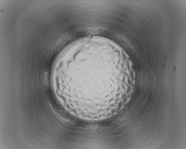 X0000060770598200512082035