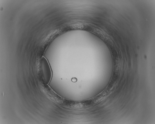 X0000060770600200512082035