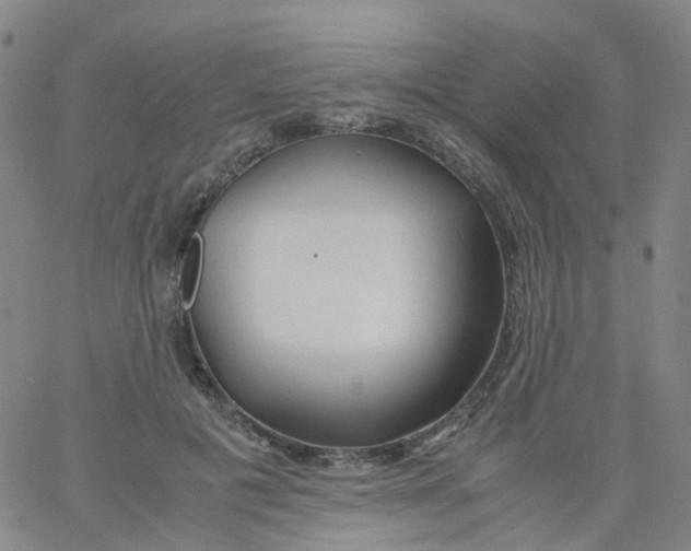 X0000060770601200512082035