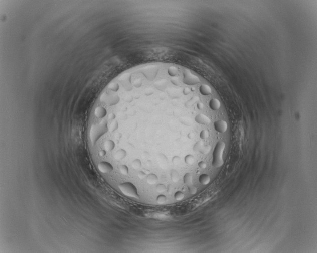 X0000060770602200512082035