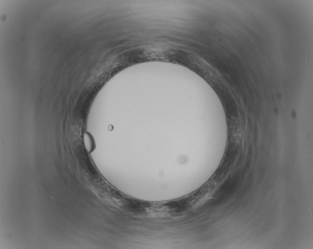 X0000060770603200512082035