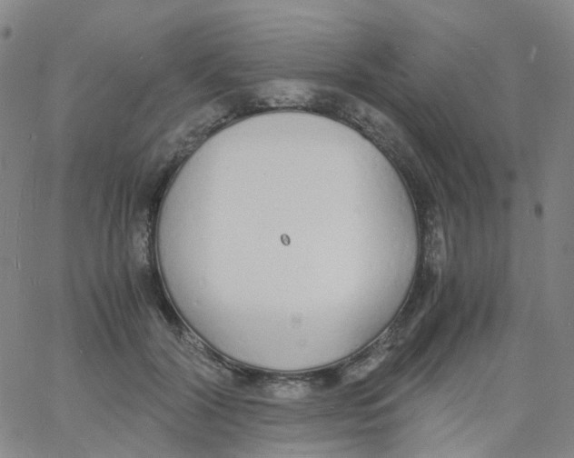 X0000060770604200512082035