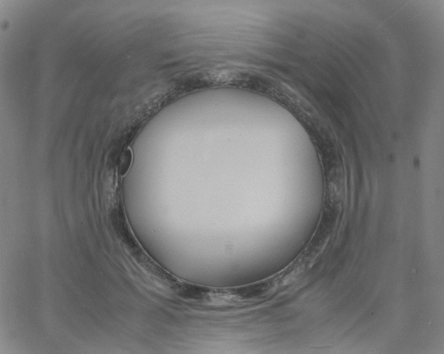 X0000060770605200512082035