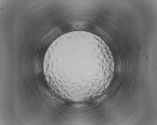 X0000060770606200512082035