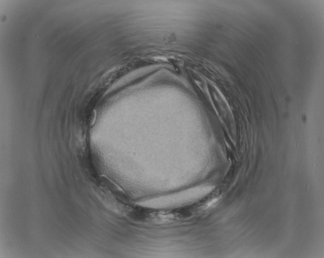 X0000060770607200512082035