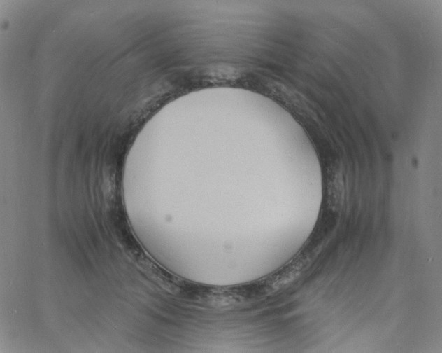 X0000060770608200512082035