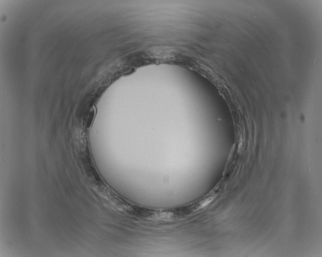 X0000060770609200512082035