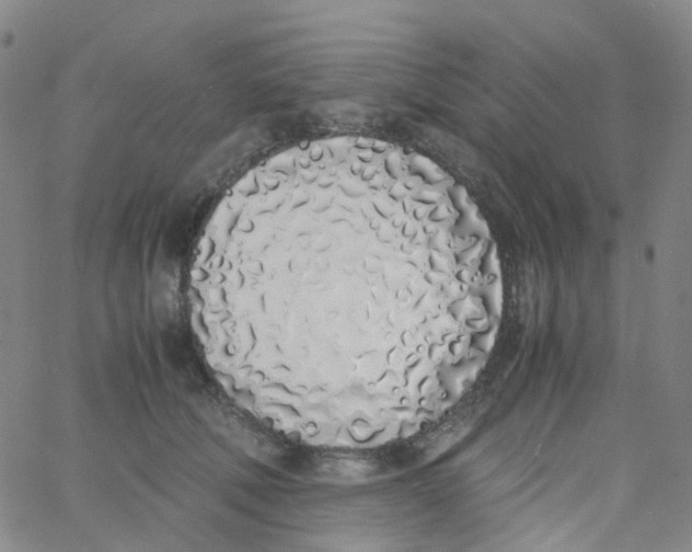 X0000060770610200512082035