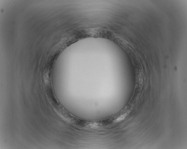 X0000060770611200512082035