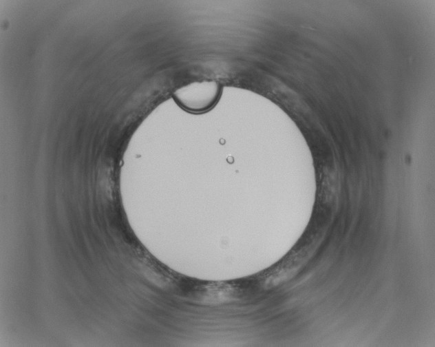 X0000060770612200512082035