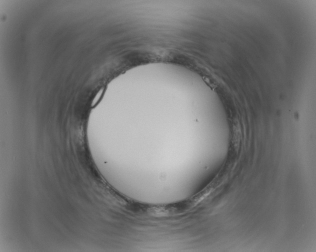 X0000060770613200512082035