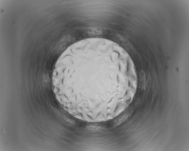 X0000060770614200512082035