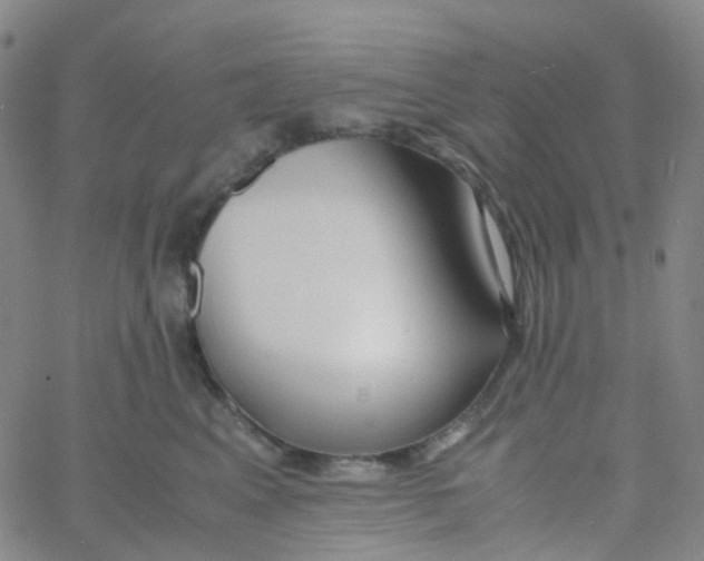 X0000060770617200512082035