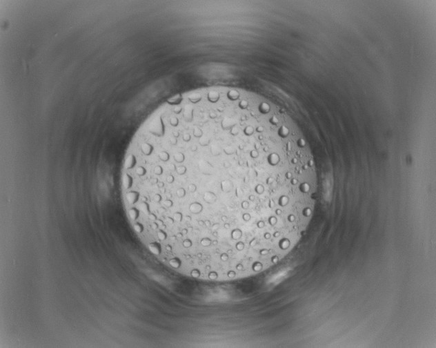 X0000060770618200512082035