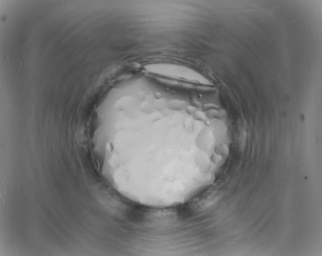 X0000060770619200512082035