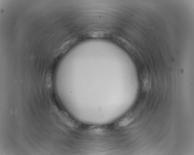 X0000060770620200512082035