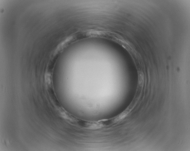 X0000060770621200512082035