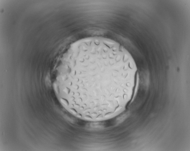 X0000060770622200512082035