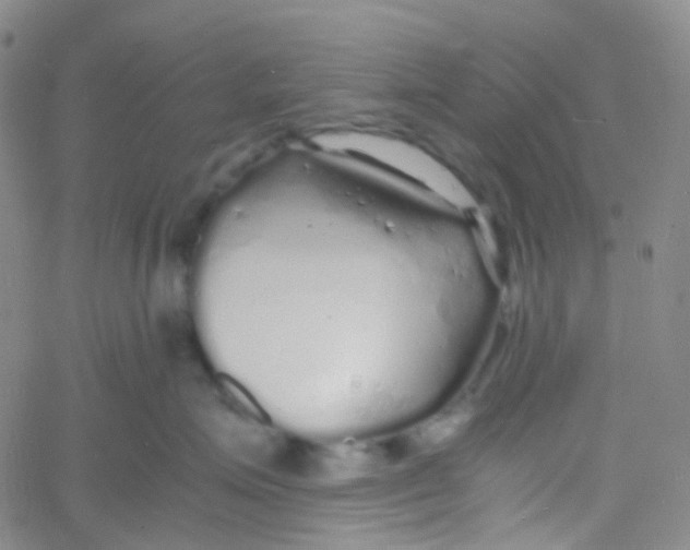 X0000060770623200512082035