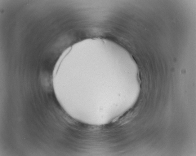 X0000060770624200512082035