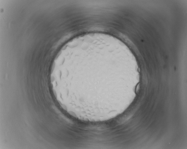 X0000060770625200512082034