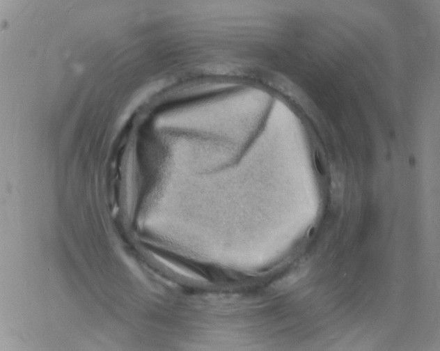 X0000060770626200512082034