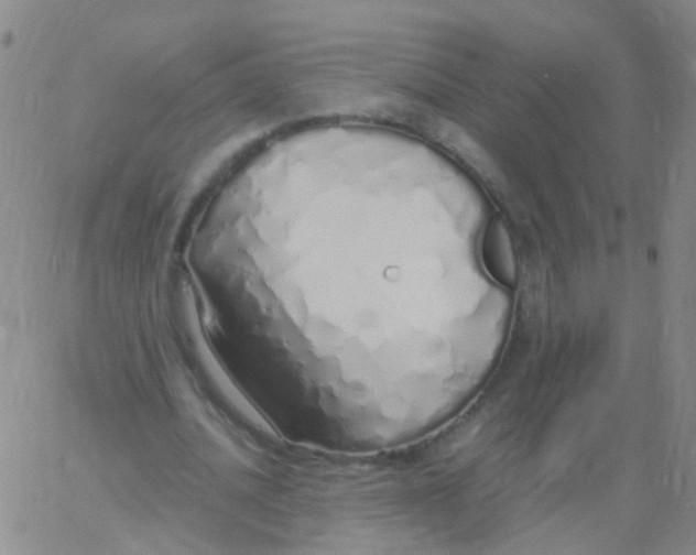 X0000060770628200512082034