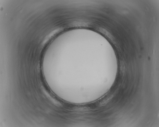 X0000060770629200512082034