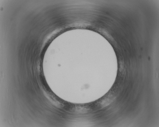 X0000060770632200512082034