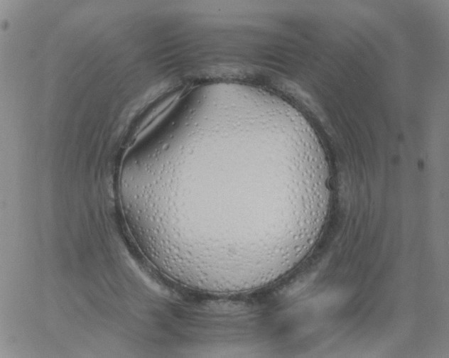 X0000060770633200512082034