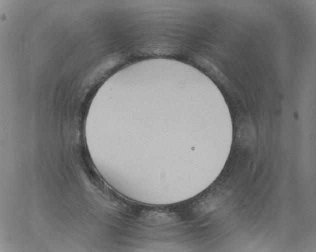 X0000060770635200512082034