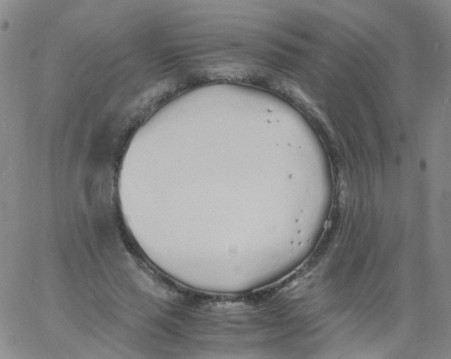 X0000060770637200512082034