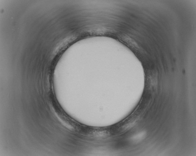 X0000060770638200512082034