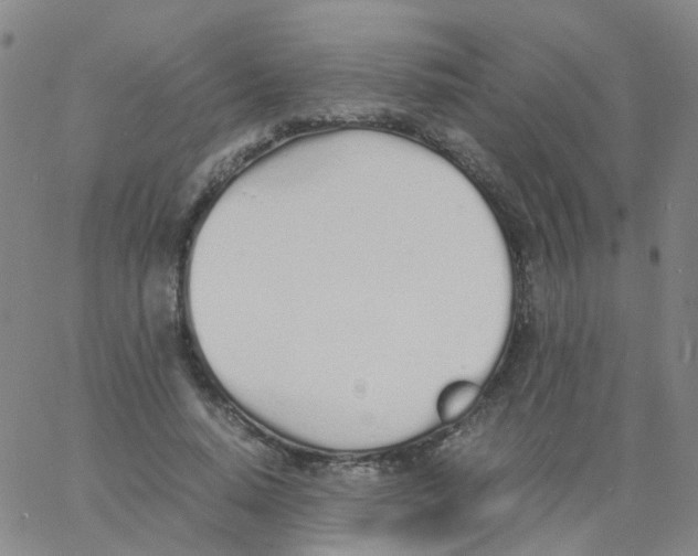 X0000060770640200512082034