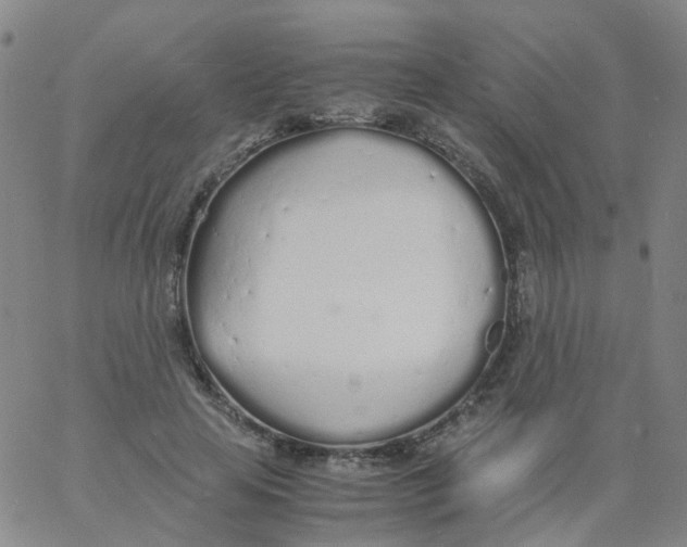 X0000060770641200512082034